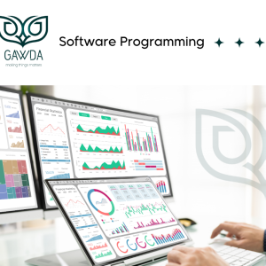 Programing Services